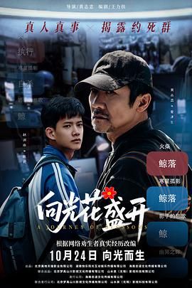 朝鲜投影无人机表演视频在线观看高清