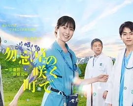 美国禁忌1—4