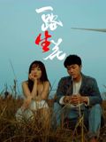 枕边情人电影